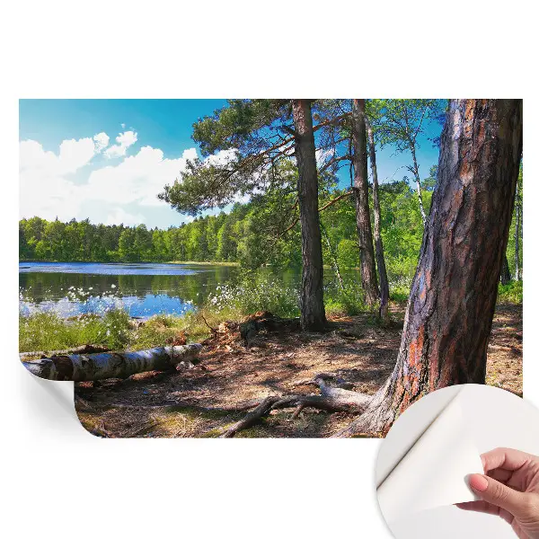 Tapet autoadeziv pentru camera de zi cu peisaj forestier