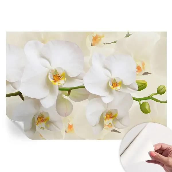 Tapet fotografic autoadeziv Bogăția florală