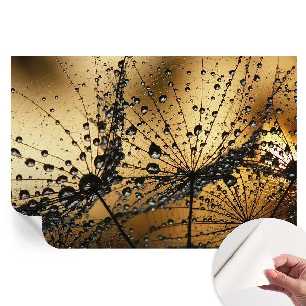 Fototapet autoadeziv pentru dormitor Picături delicate