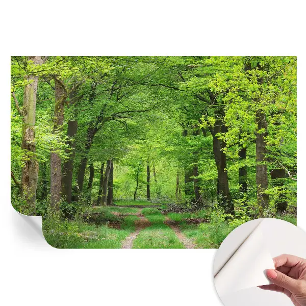 Tapet autoadeziv pentru camera de zi Calea pădurii