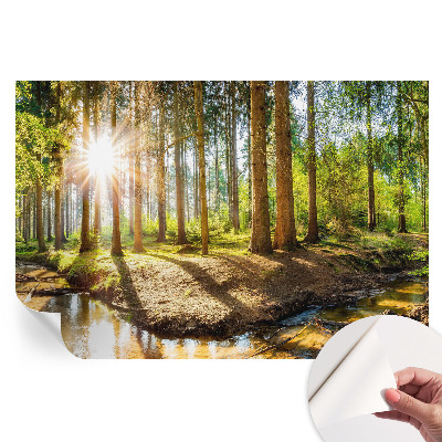 Fototapet autoadeziv pentru dormitor Idilă în pădure