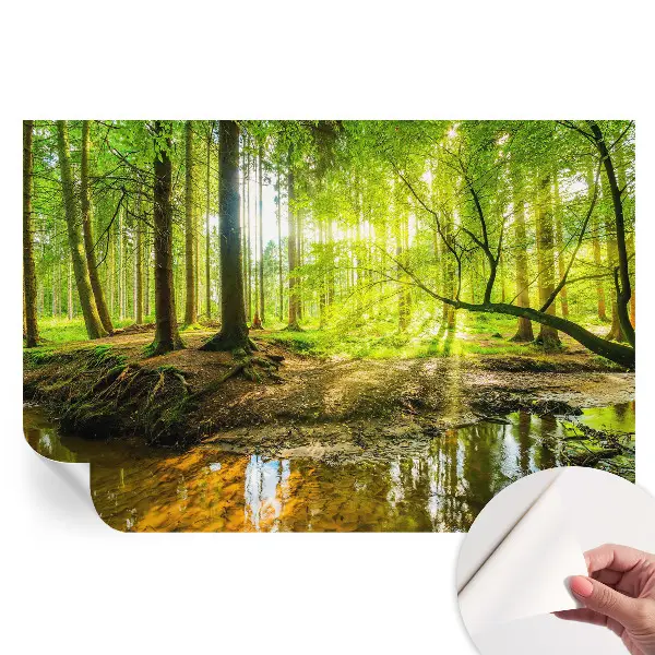 Tapet autoadeziv pentru camera de zi cu peisaj verde