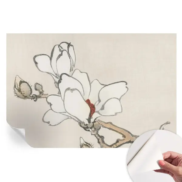 Fototapet autoadeziv cu magnolii delicate