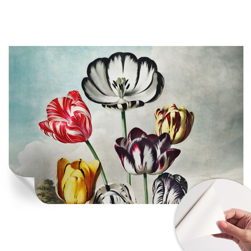 Tapet autoadeziv pentru camera de zi Lalele colorate