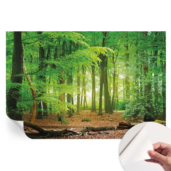 Fototapet autoadeziv pentru dormitor Pădurea verde