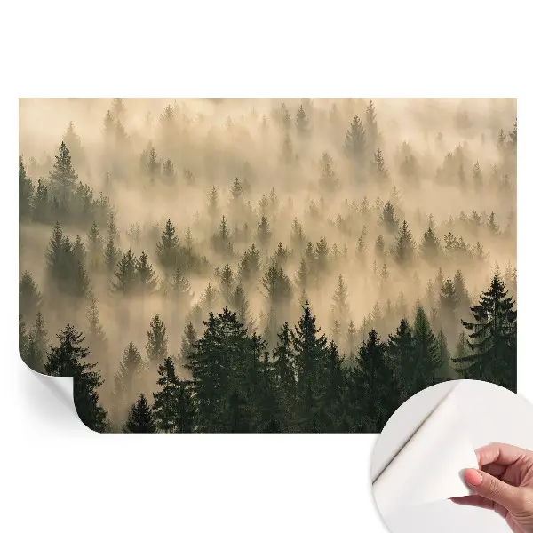 Fototapet modern pentru sufragerie cu design de ceață de pădure