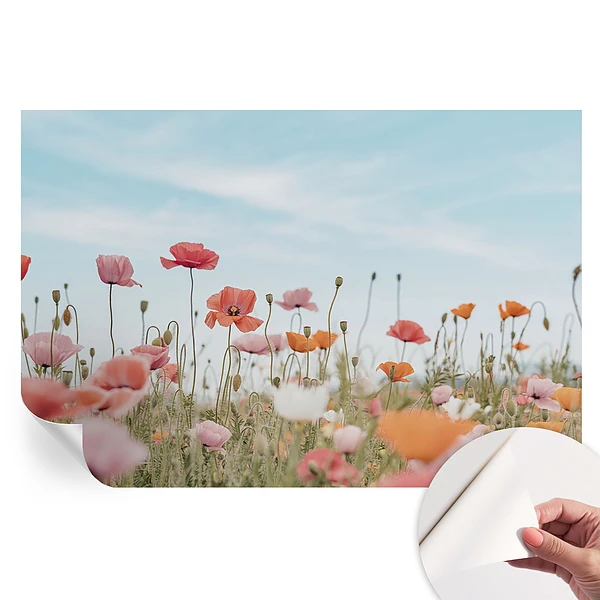 Fototapet modern cu flori de mac pentru sufragerie