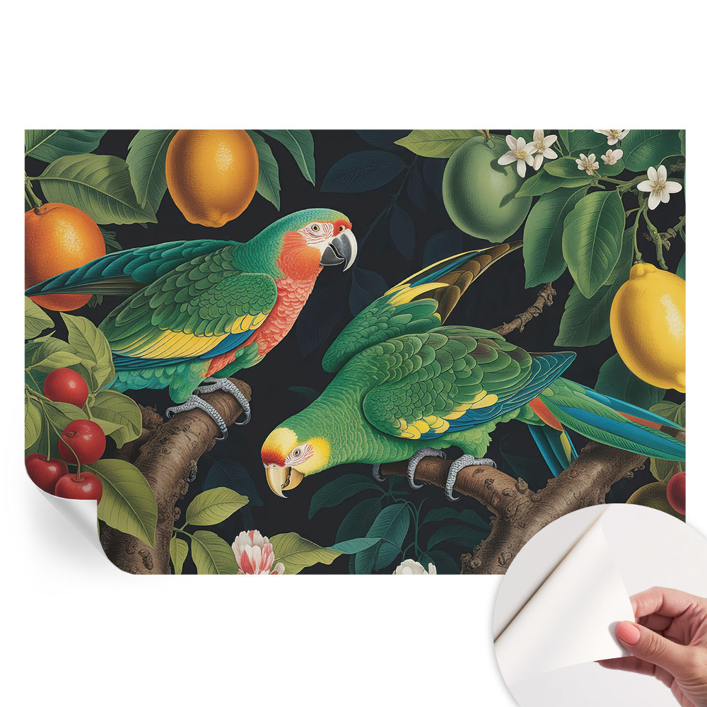 Tapet fotografic autoadeziv Aventură tropicală