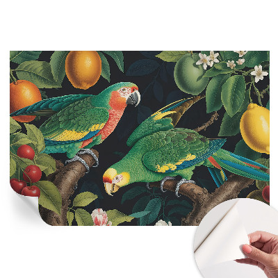 Tapet fotografic autoadeziv Aventură tropicală