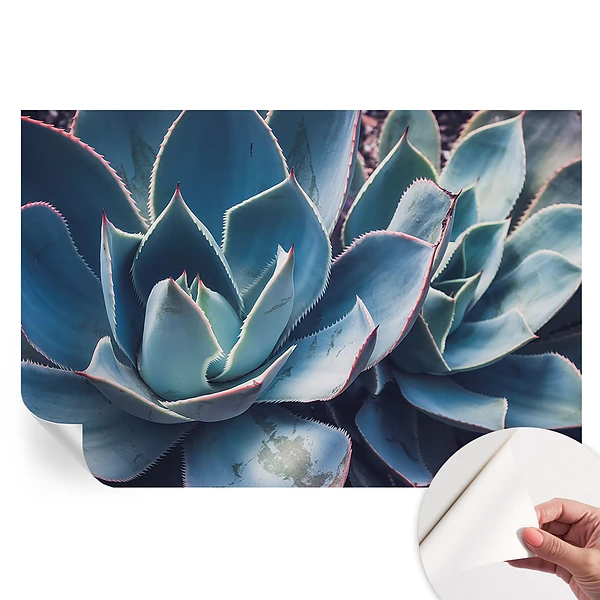 Tapet autoadeziv pentru camera de zi model Aloe verde