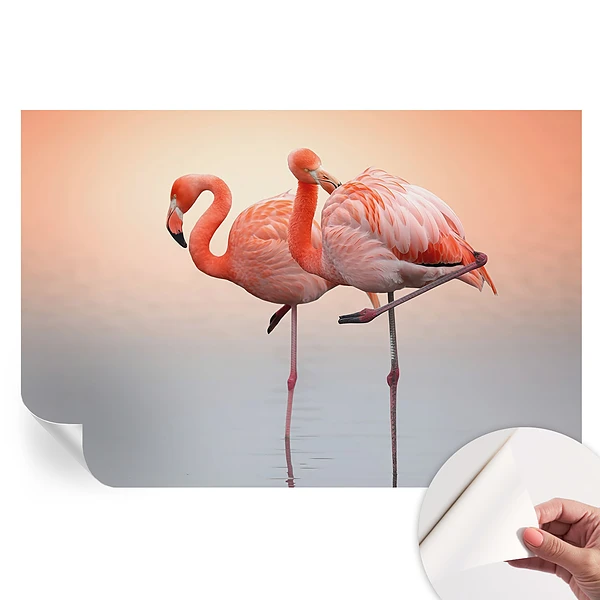 Fototapet modern pentru sufragerie cu flamingo delicați