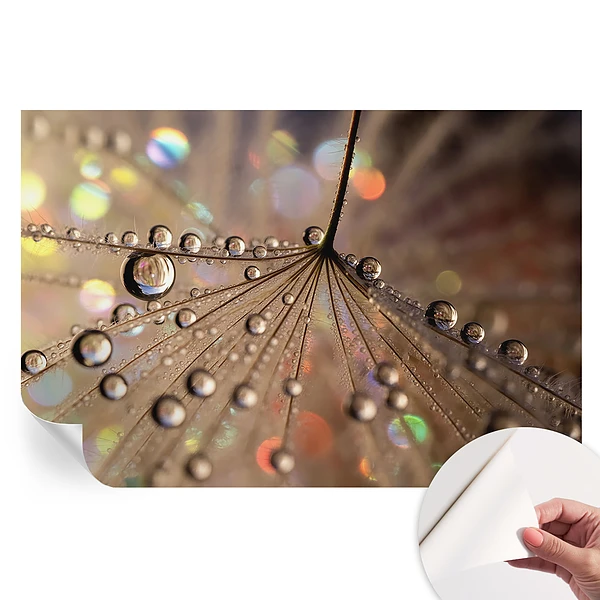 Fototapet modern pentru sufragerie Picături de perle