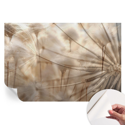 Fototapet autoadeziv Păpădii subtile