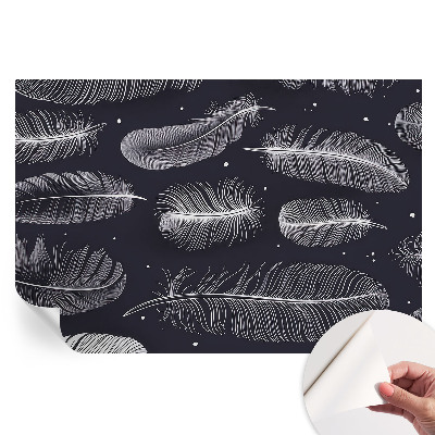 Fototapet modern pentru sufragerie Pene subtile