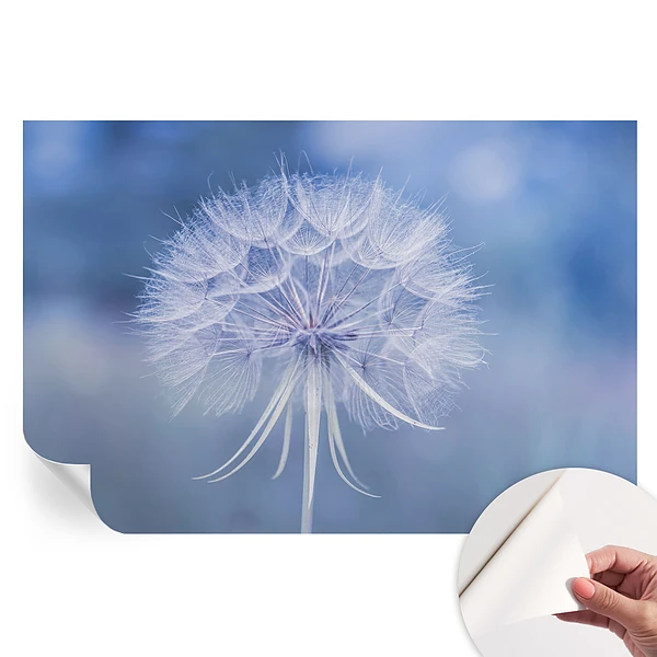 Tapet fotografic autoadeziv Delicatese albastre