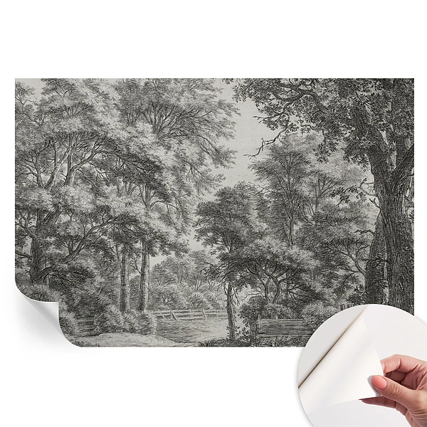 Tapet fotografic autoadeziv cu peisaj forestier
