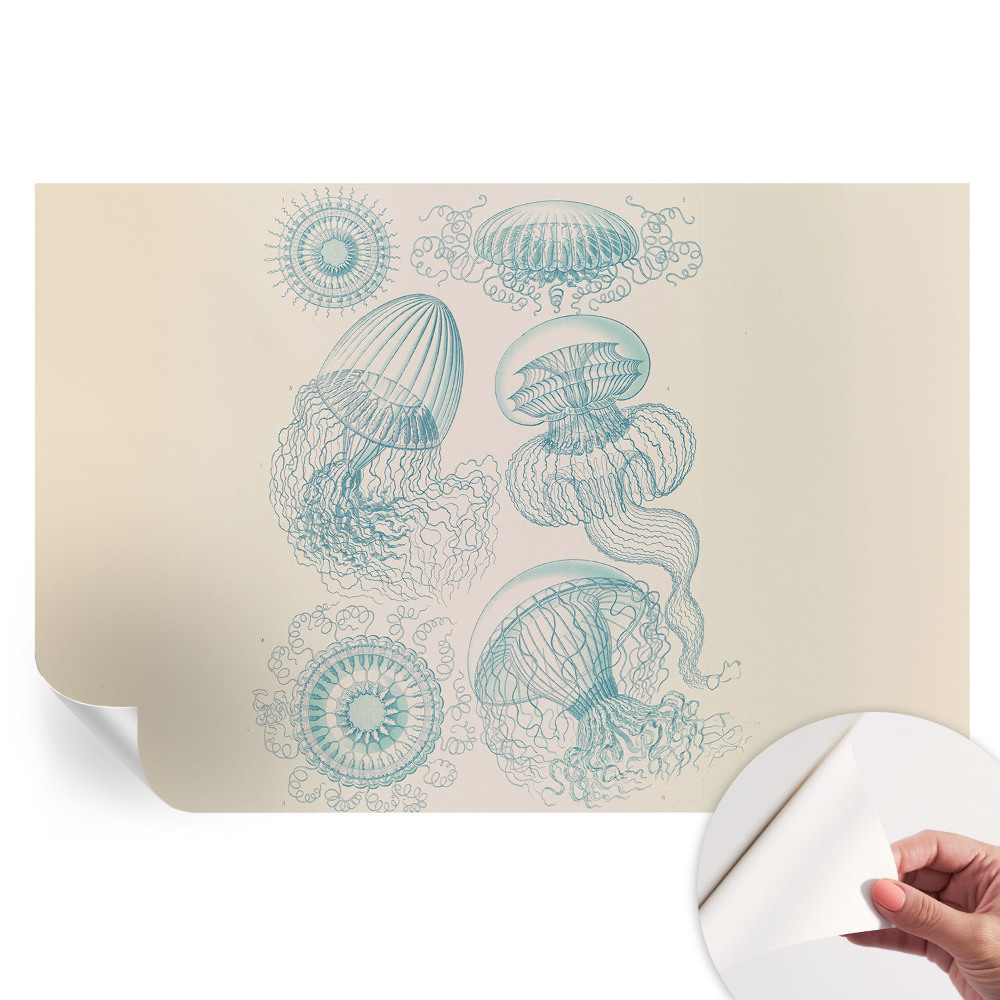 Fototapet autoadeziv pentru dormitor Meduzele de mare