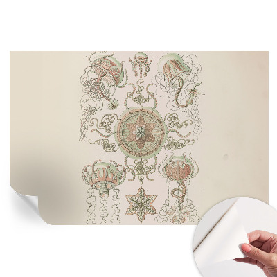 Fototapet modern pentru sufragerie Lumea subacvatică