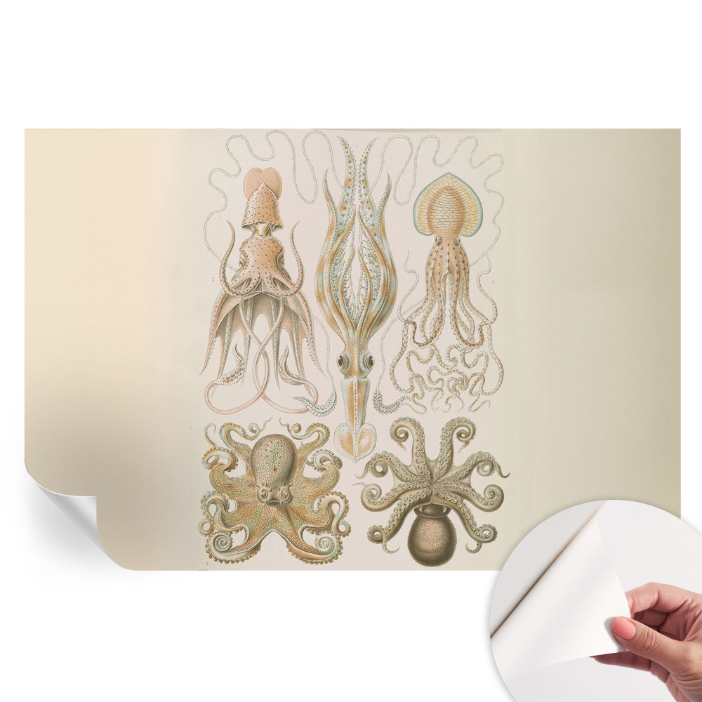 Tapet autoadeziv pentru camera de zi Viața marină