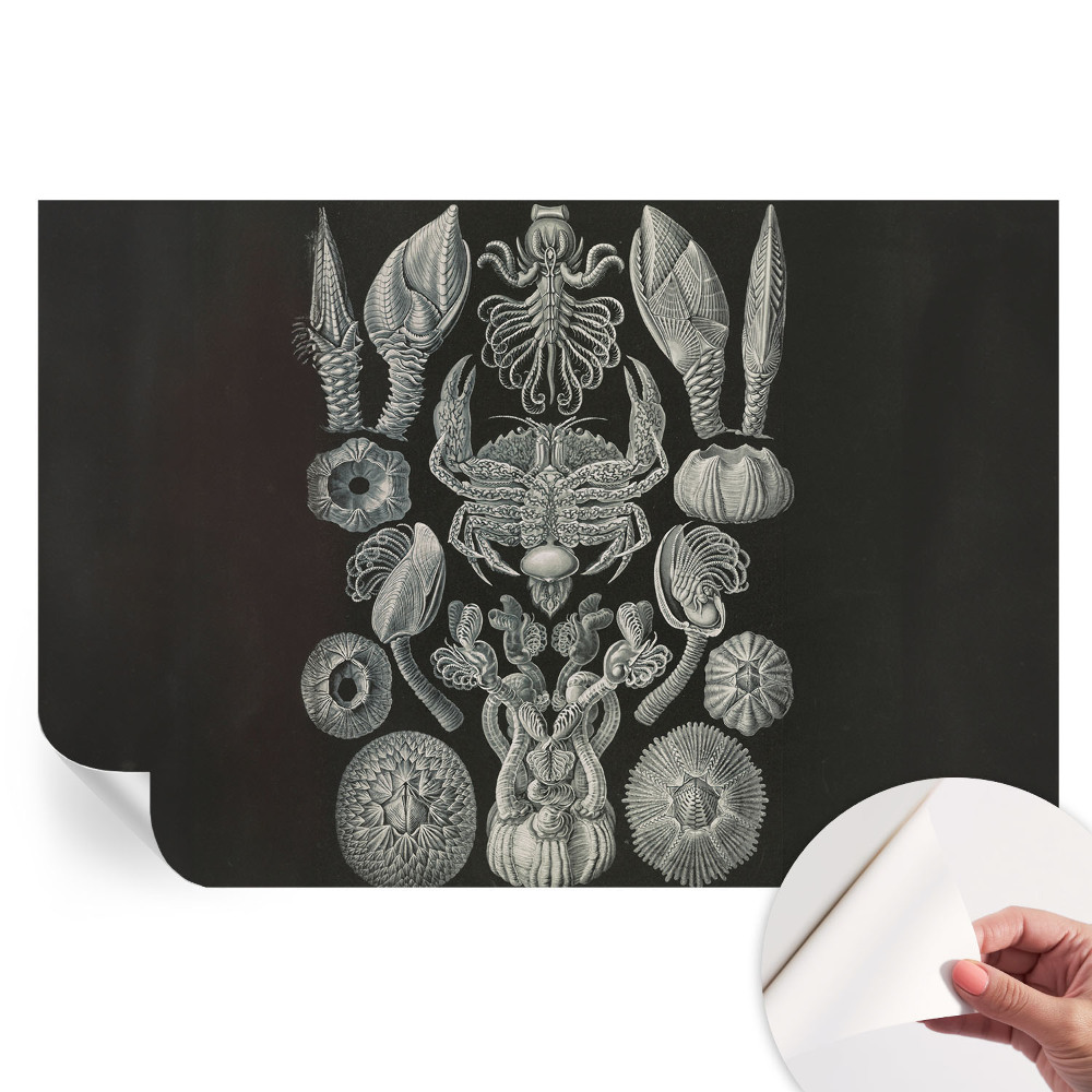 Fototapet autoadeziv Forme subacvatice