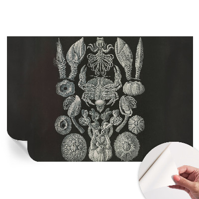 Fototapet autoadeziv Forme subacvatice