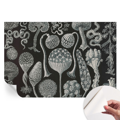 Tapet fotografic autoadeziv Plante magice