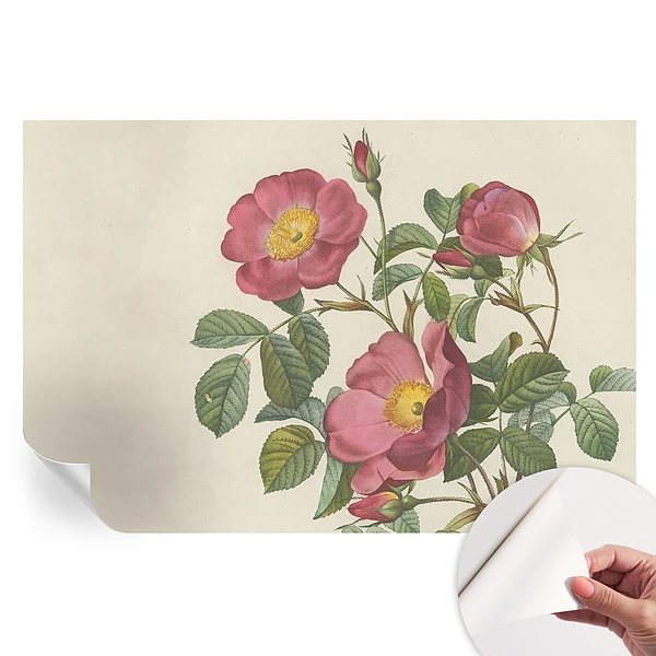 Fototapet autoadeziv pentru dormitor cu motiv floral trandafir