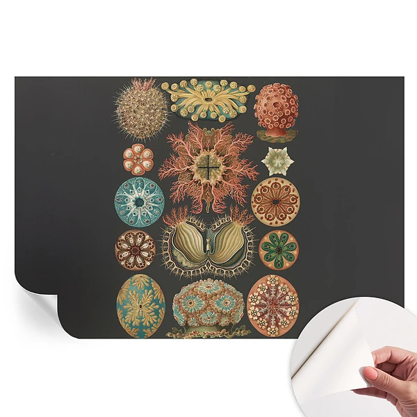 Fototapet modern pentru sufragerie cu design marin