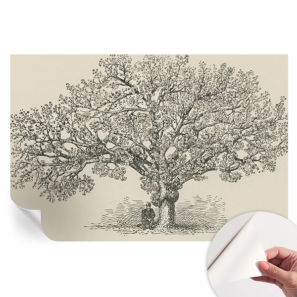 Fototapet autoadeziv pentru dormitor cu ilustrație de arbore