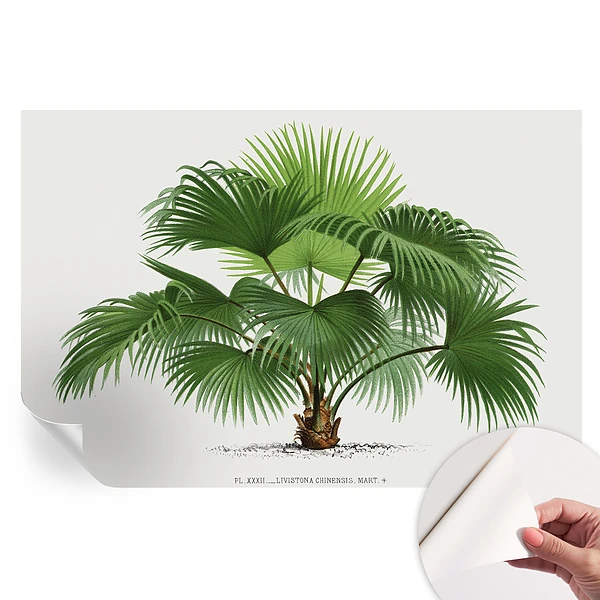 Fototapet modern pentru sufragerie cu model de palmier exotic