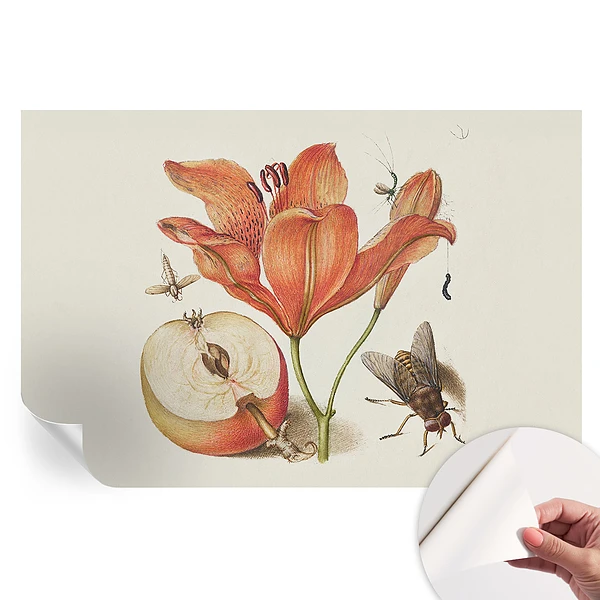 Fototapet modern pentru sufragerie cu ilustrație botanică