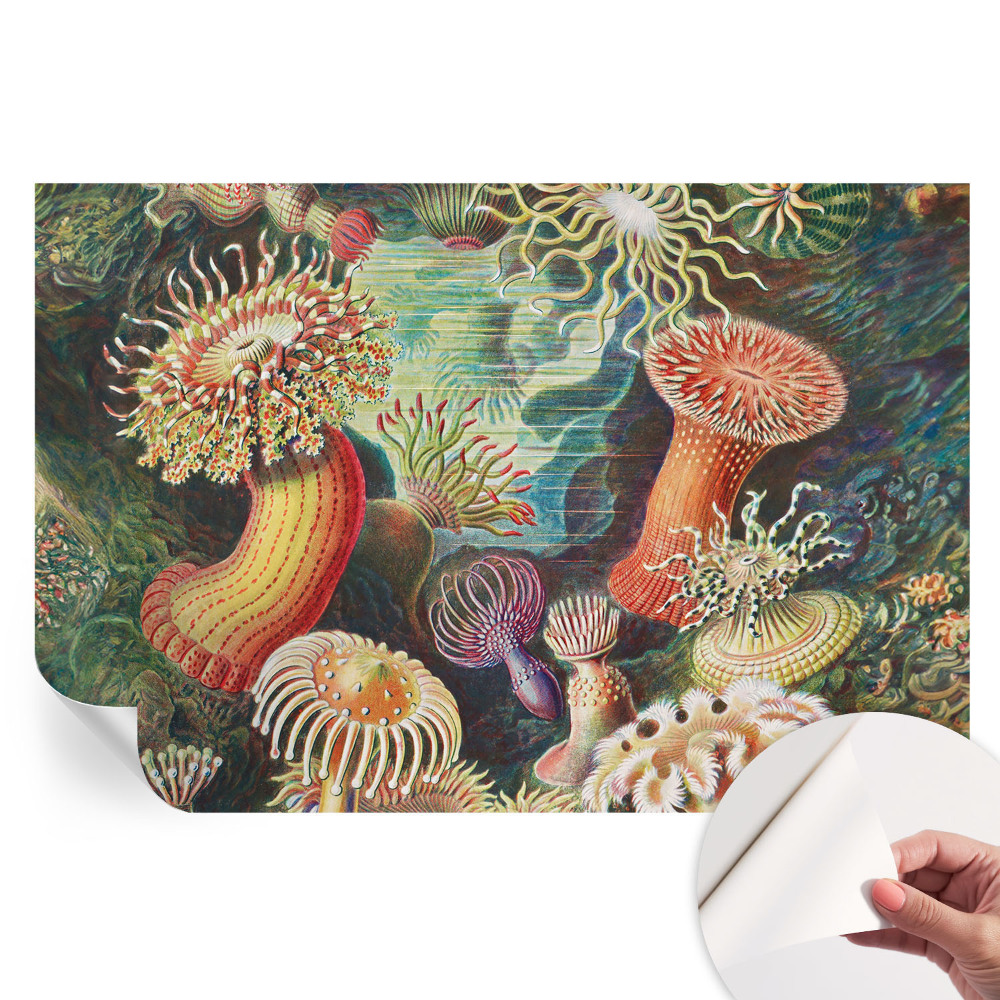 Tapet autoadeziv pentru camera de zi Anemone elegante