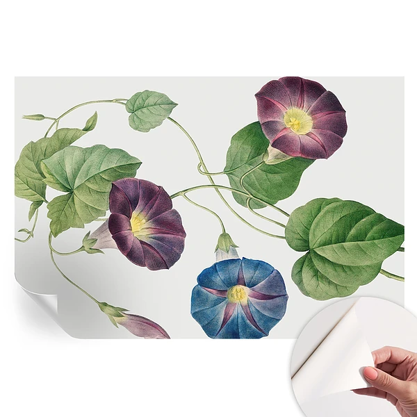 Fototapet autoadeziv pentru dormitor Eleganță floristică