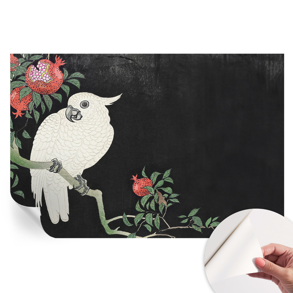 Fototapet modern pentru sufragerie Papagal de rodie