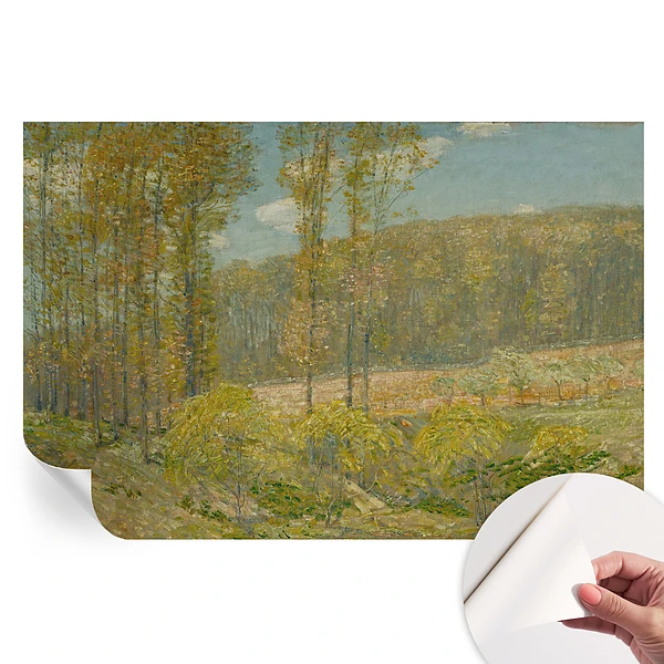 Fototapet autoadeziv cu peisaj forestier