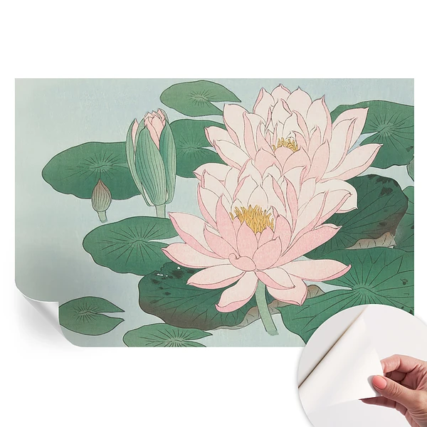 Fototapet autoadeziv pentru dormitor cu model Lotus de apă