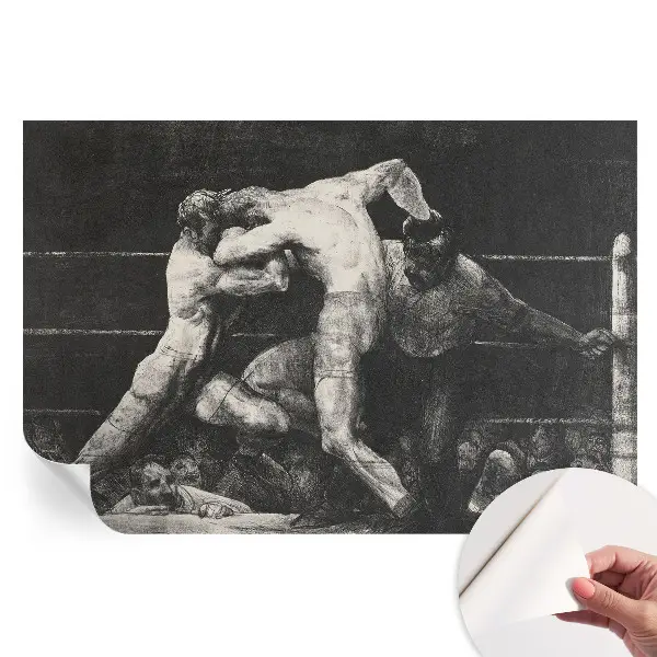 Fototapet modern pentru sufragerie Duelul boxerilor