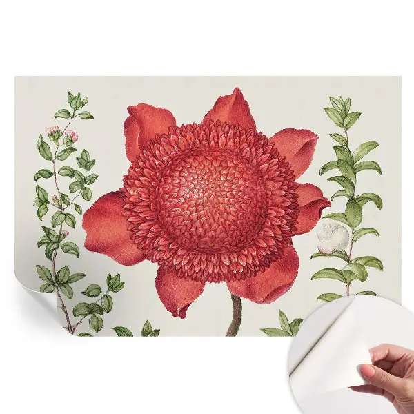 Tapet autoadeziv pentru camera de zi Eleganță florală
