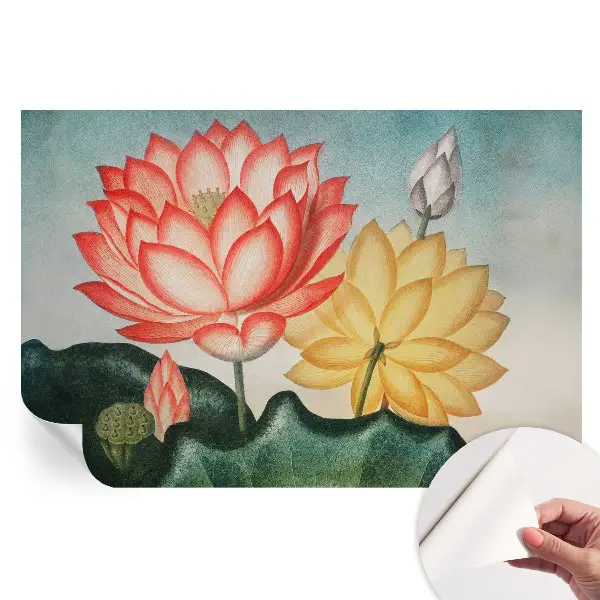Tapet fotografic autoadeziv cu flori de lotus