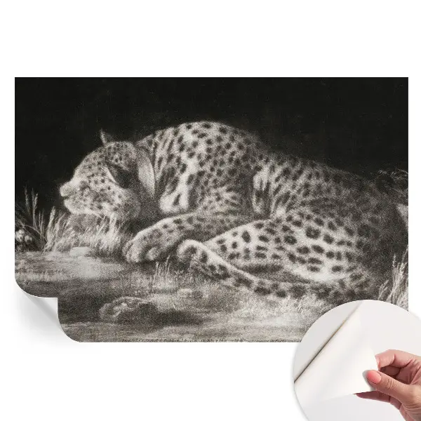 Fototapet autoadeziv pentru dormitor cu leopard care se odihnește