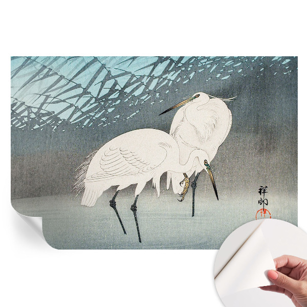 Fototapet autoadeziv Păsări delicate