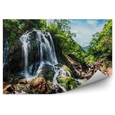 Decor fototapet Pădure Natura Verde Cascadă Roci