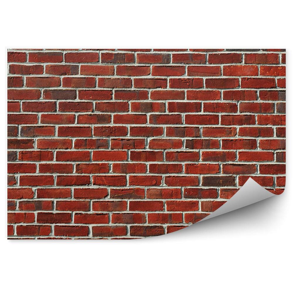 Decor fototapet Textura Peretelui