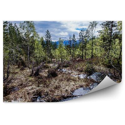 Decor fototapet Natura pădure pârâu munți