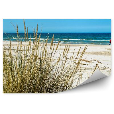 Fototapet pentru perete Dune De Iarbă Plajă Mare Marea Baltică