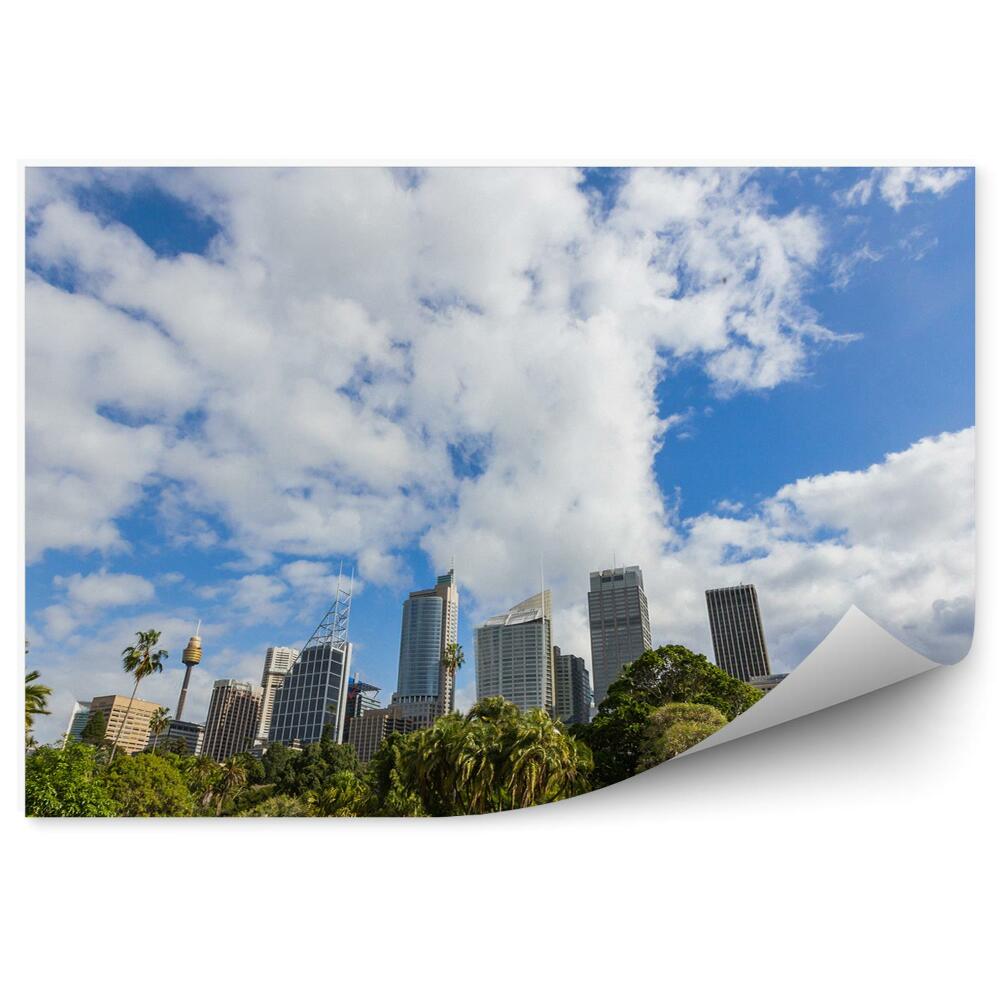 Decor fototapet Perspectivă Parc Oraș Cer Înnorat