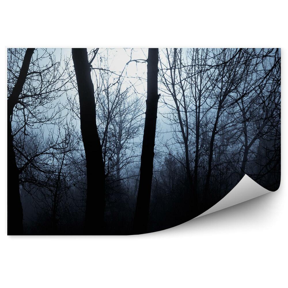 Fototapet perete Umbrele Copacilor De Ceață