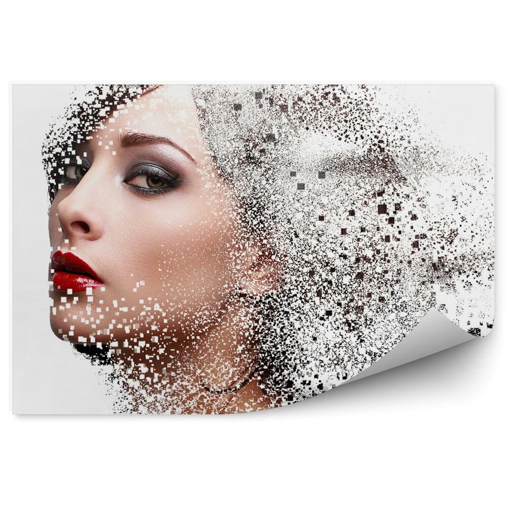 Fototapet perete Porter femei pătrate abstracte