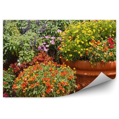 Fototapet pentru perete Flori În Ghiveci În Culori Înflorite