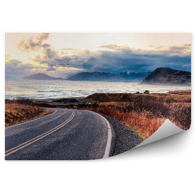 Fototapet pentru perete Drum drum iarbă apă insula